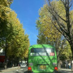 차간 거리 유지하기