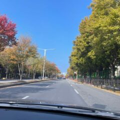 안산운전연수 수강료 얼마였는지 공개 후기 이미지